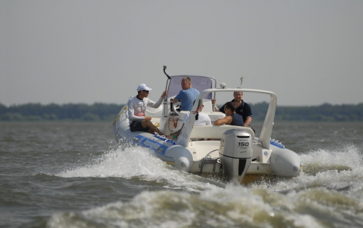 Sarud. A Tisza-tó Gyöngyszeme