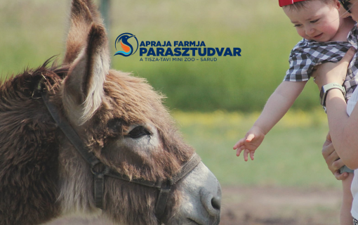  APRAJA FARMJA Parasztudvar megnyitó - Lecsó főző verseny